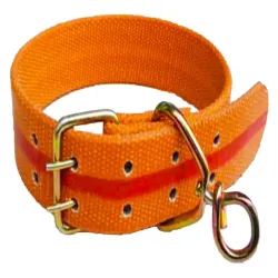 Adjustable Heavy Duty Safety Pet Dog Collar Dog Belt CTR